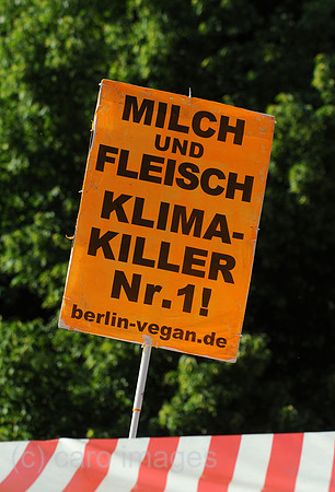 0MW100605D005CARO.JPG