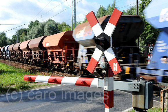 0MW100730D005CARO.JPG