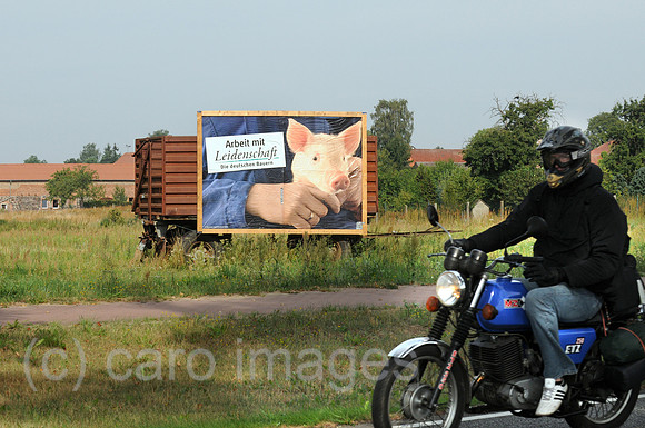 0MW100812D003CARO.JPG