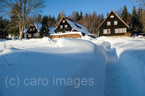 0MW101229D010CARO.JPG