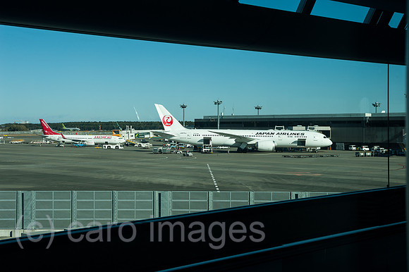 Tokio, Japan, Passagiermaschinen der Japan Airlines am Flughafen Narita