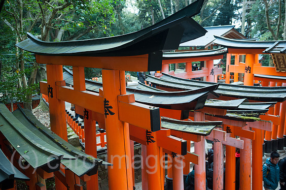 Kyoto, Japan, Holzportale entlang des Torii-Weges zum Fushimi Inari-Taisha