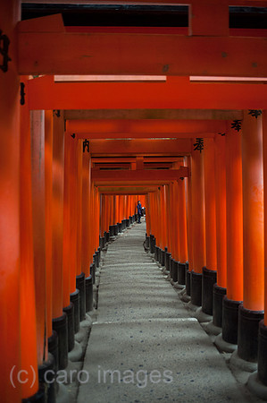 Kyoto, Japan, Torii-Weg zum Fushimi Inari-Taisha