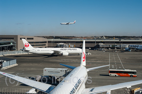 Tokio, Japan, Passagiermaschinen der Japan Airlines am Flughafen Narita
