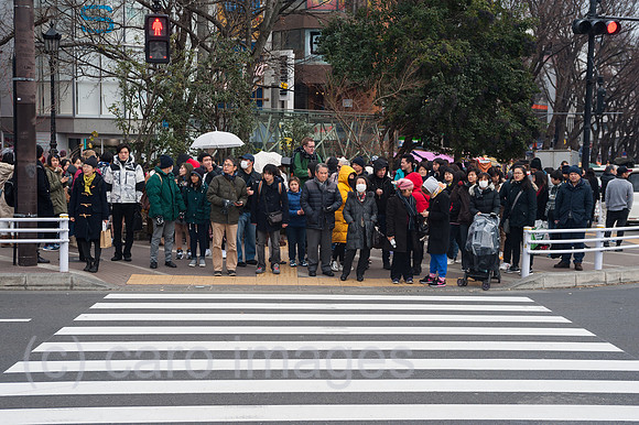 Tokio, Japan, Fussgaenger an einem Zebrastreifen