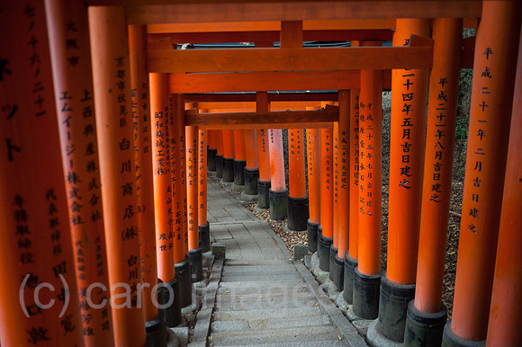 Kyoto, Japan, Torii-Weg zum Fushimi Inari-Taisha