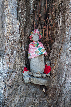 Takayama, Japan, Jizo-Statue in einem alten Gingkobaum
