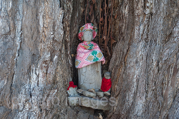 Takayama, Japan, Jizo-Statue in einem alten Gingkobaum