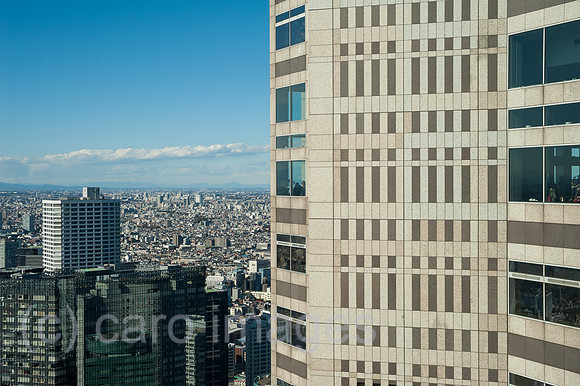 Tokio, Japan, Ein Blick auf Tokio aus dem Metropolitan Governmen
