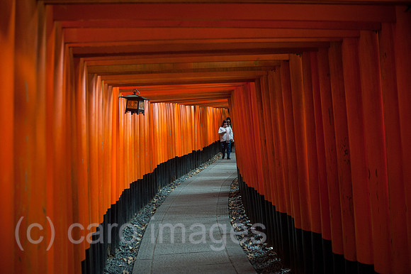 Kyoto, Japan, Torii-Weg zum Fushimi Inari-Taisha