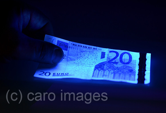 0MW120905D005CARO.JPG