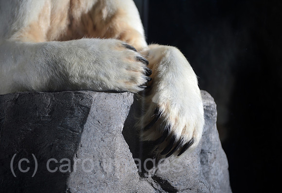 0MW130215D003CARO.JPG