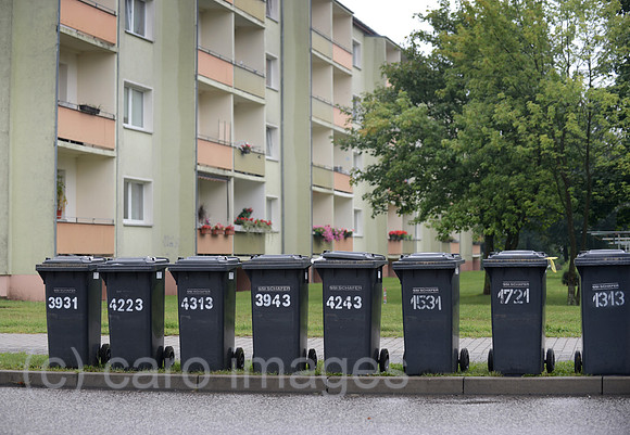 0MW120806D001CARO.JPG