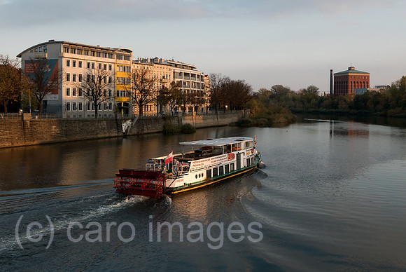 00A181021D146CAROEX.JPG