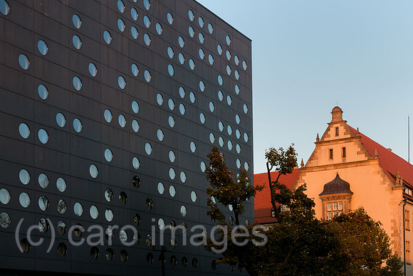 00A181021D188CAROEX.JPG