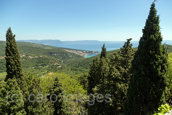 00A160521D087CAROEX.JPG