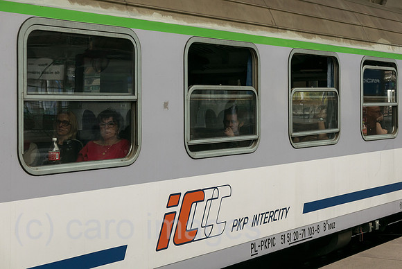 00A181021D020CAROEX.JPG