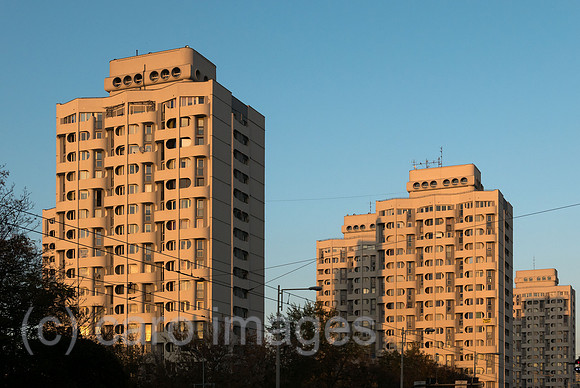 00A181021D158CAROEX.JPG