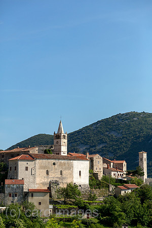 00A160521D209CAROEX.JPG