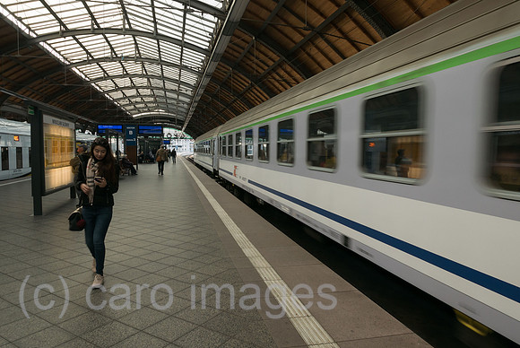 00A181021D031CAROEX.JPG
