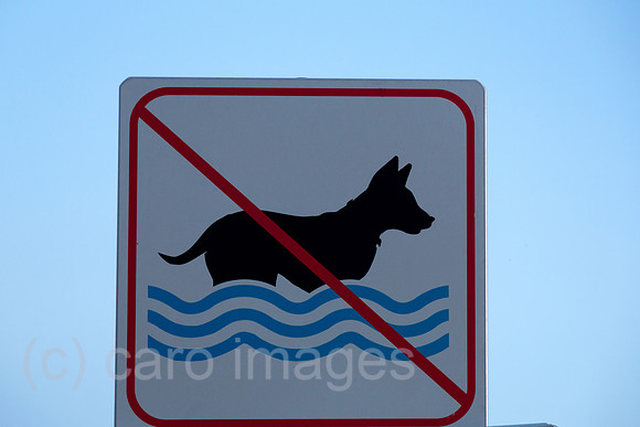 00A160522D108CAROEX.JPG