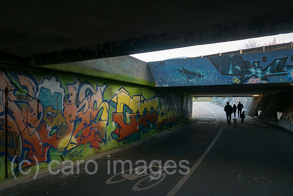 00A181021D111CAROEX.JPG