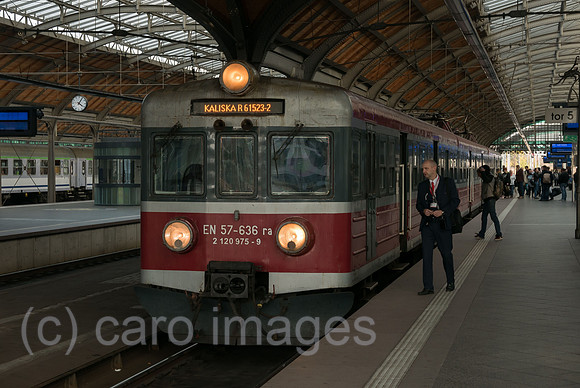 00A181021D037CAROEX.JPG