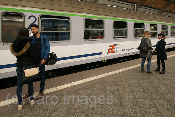 00A181021D006CAROEX.JPG