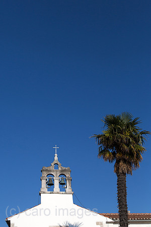 00A160522D040CAROEX.JPG