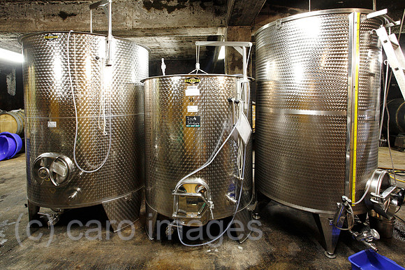 0TK101007D005CARO.JPG