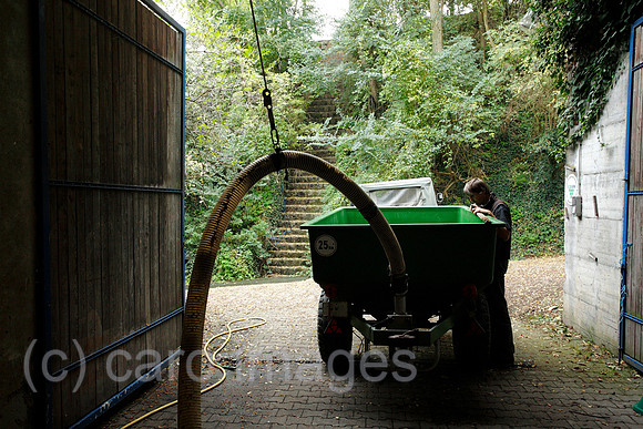 0TK101007D084CARO.JPG