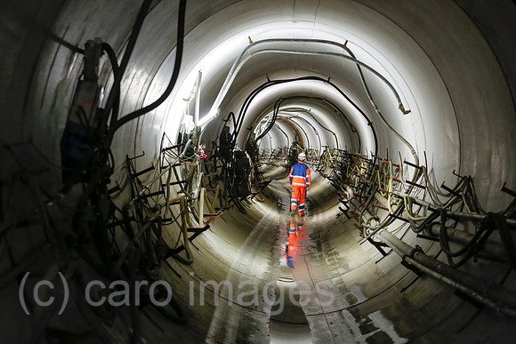 00X141113D194CAROEX.JPG