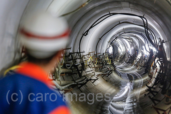 00X141113D206CAROEX.JPG