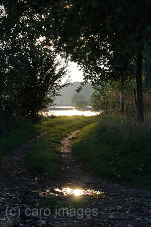 0TK101004D061CARO.JPG