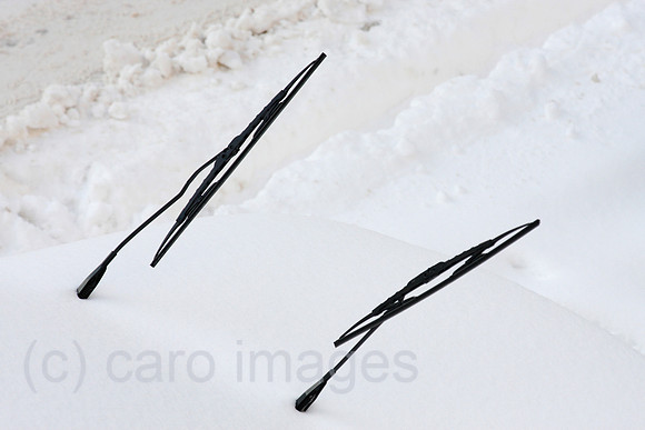 0TK100112D035CARO.JPG