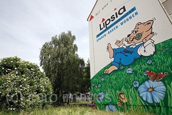0TK100610D037CARO.JPG
