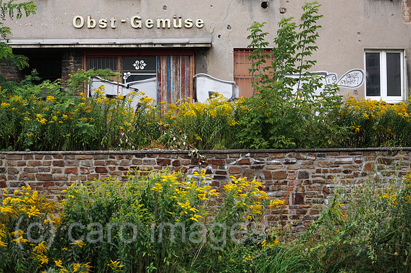 0TK100903D026CARO.JPG