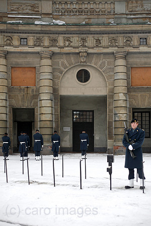 0TK100226D006CARO.JPG
