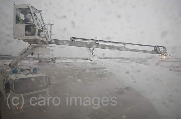 0TK100224D006CARO.JPG