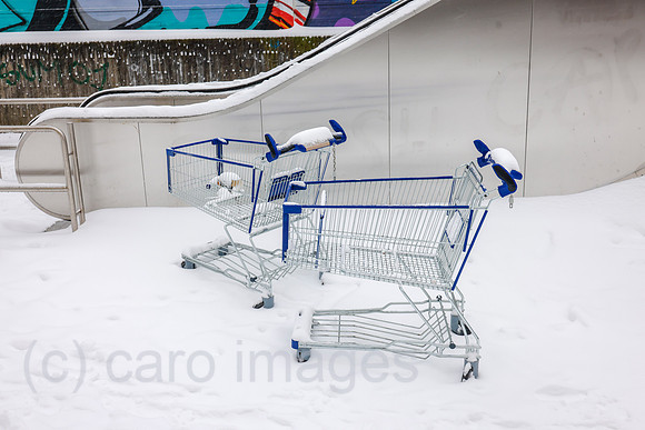 00X210208D008CAROEX.JPG