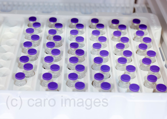 00X210208D048CAROEX.JPG