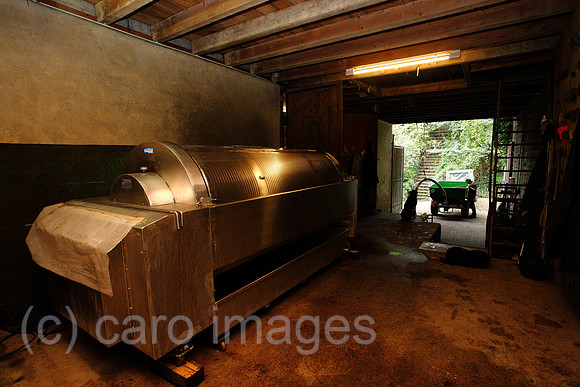 0TK101007D083CARO.JPG