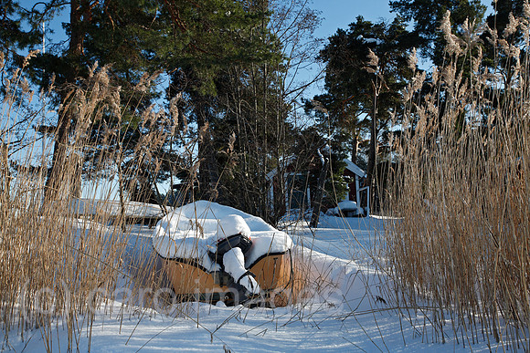0TK100224D049CARO.JPG