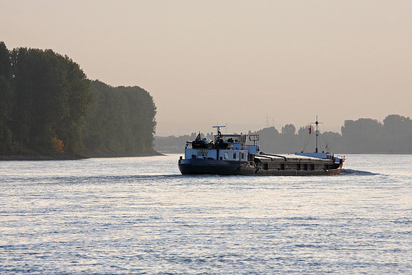 0TK101004D080CARO.JPG