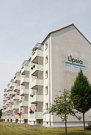 0TK100610D034CARO.JPG
