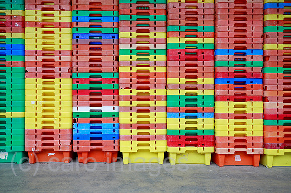0TK100804D193CARO.JPG
