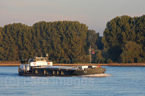 0TK101004D074CARO.JPG