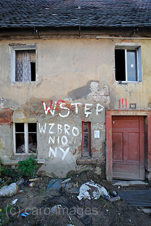 0TK100911D090CARO.JPG