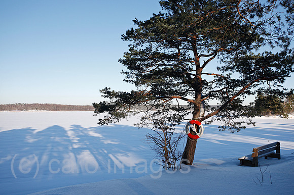 0TK100224D070CARO.JPG