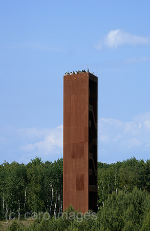 00R130612D061CARO.JPG